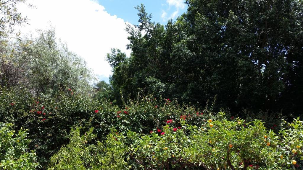 Villa Carmelas Taormina Buitenkant foto